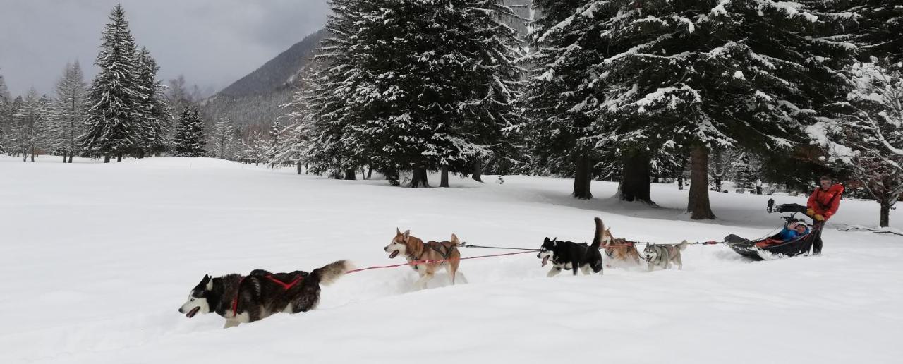 Evasion Serenite A Chamonix Mont-Blanc Luaran gambar