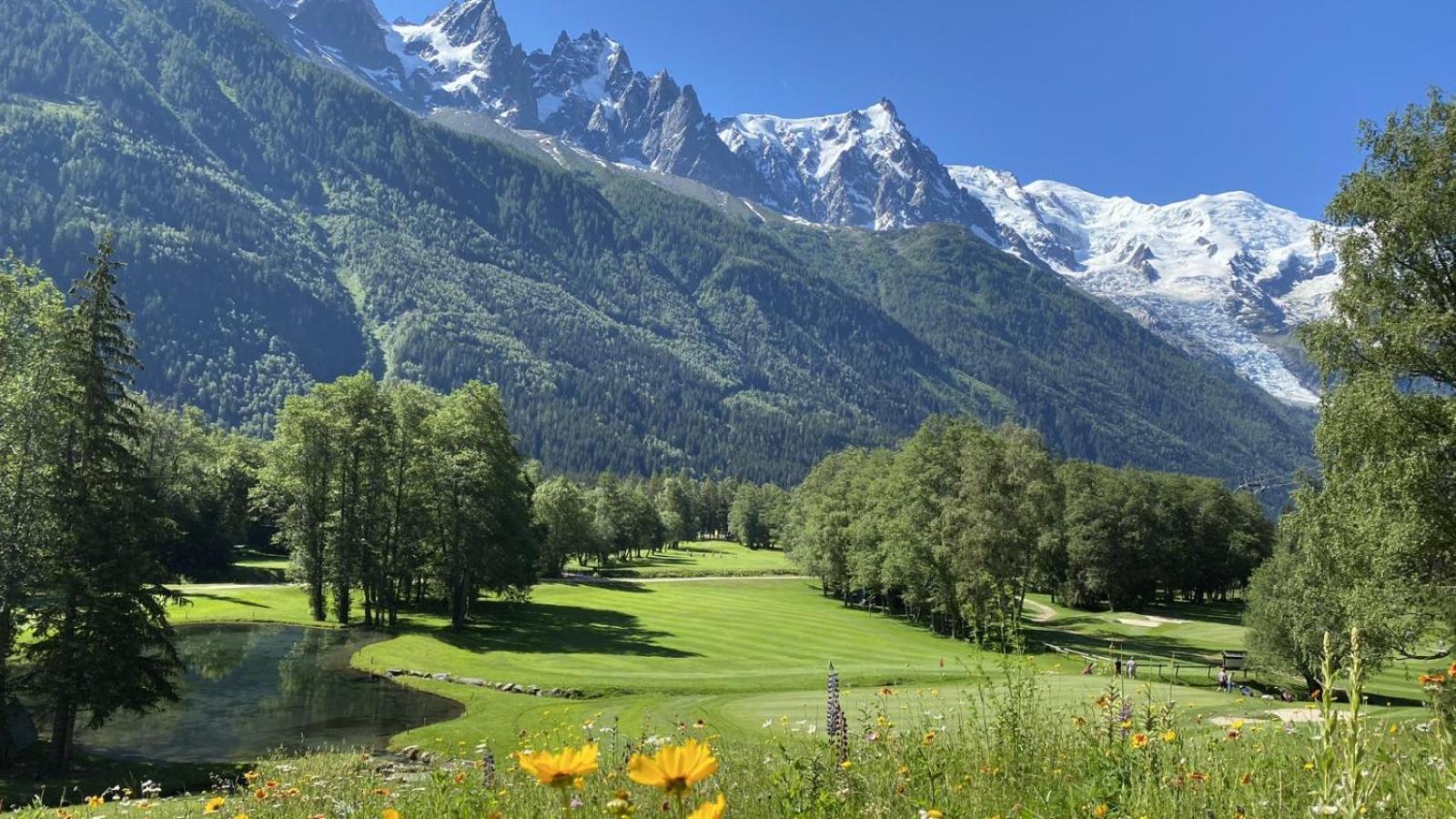 Evasion Serenite A Chamonix Mont-Blanc Luaran gambar